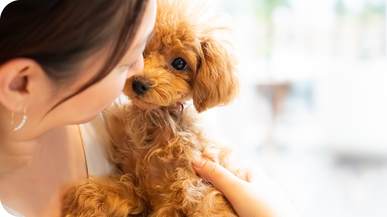 人と動物が共存できる世の中に