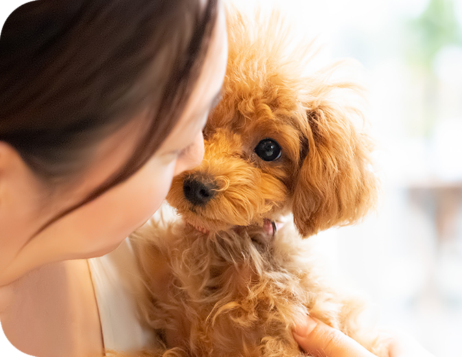 人と動物が共存できる世の中に